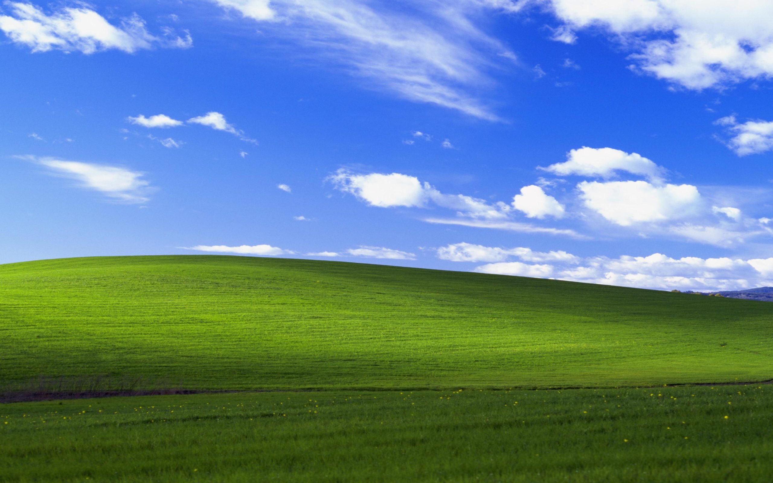 Clave de Activación Windows 11